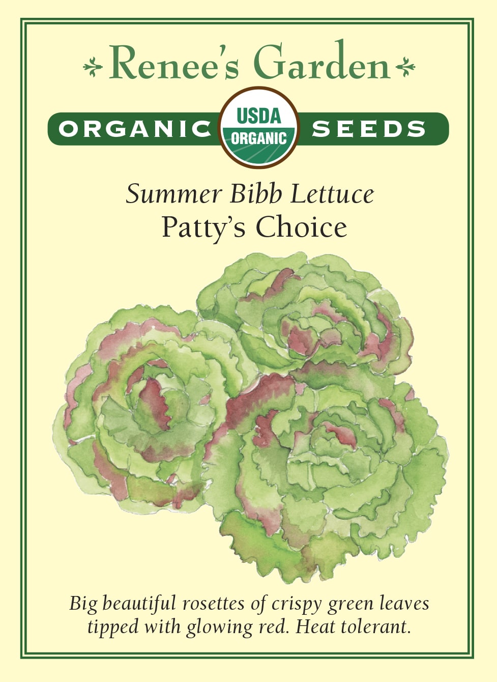 Summer Bibb Lettuce - Patty's Choice Organic