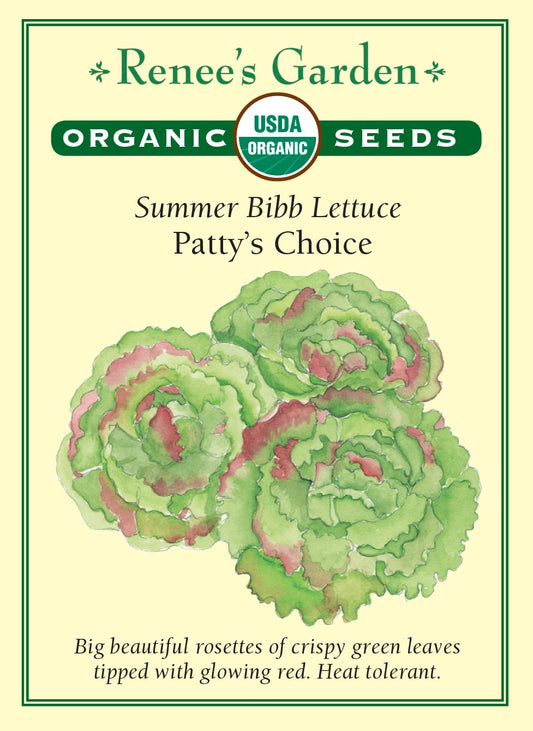 Summer Bibb Lettuce - Patty's Choice Organic