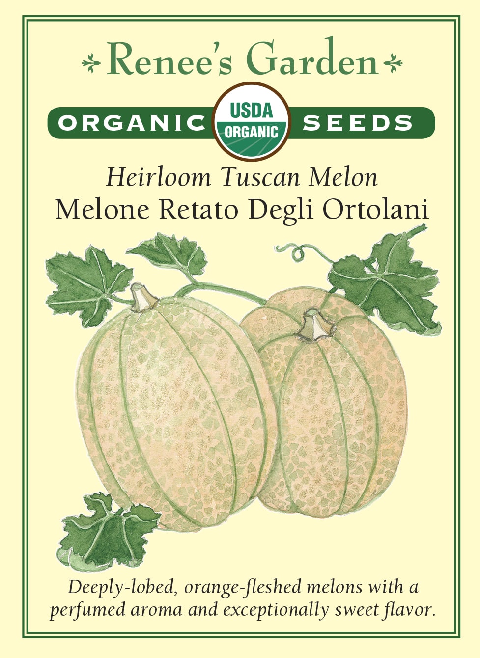 Heirloom Tuscan Melon - Melone Retato Degli Ortolani Organic