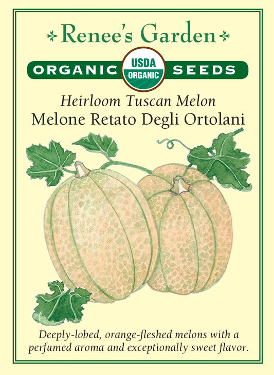 Heirloom Tuscan Melon - Melone Retato Degli Ortolani Organic