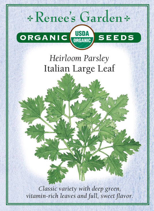 Heirloom Parsley - Italian Large Leaf Organic