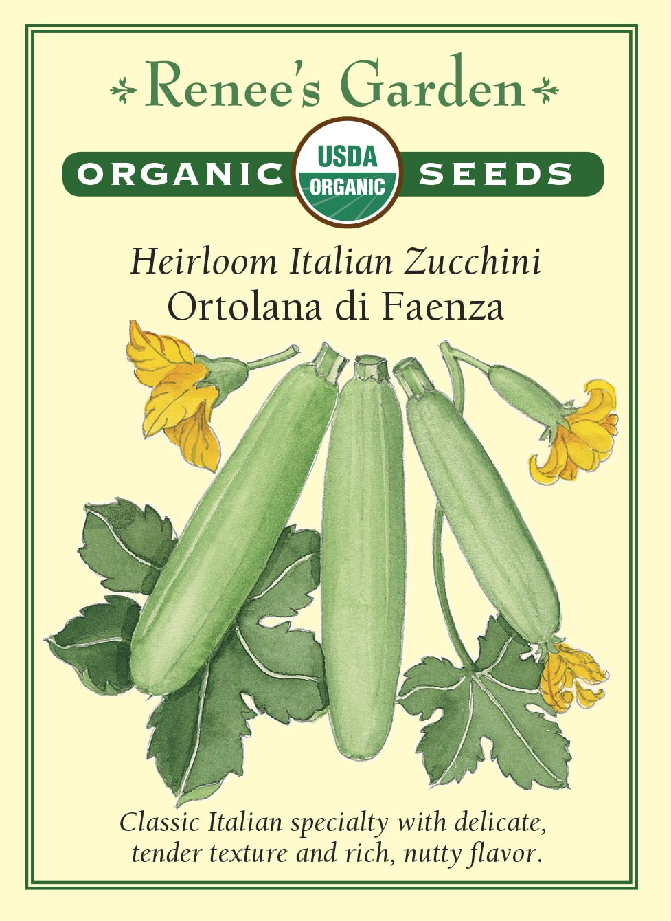 Heirloom Italian Zucchini - Ortolana di Faenza Organic