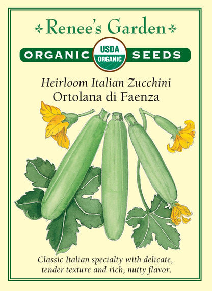 Heirloom Italian Zucchini - Ortolana di Faenza Organic