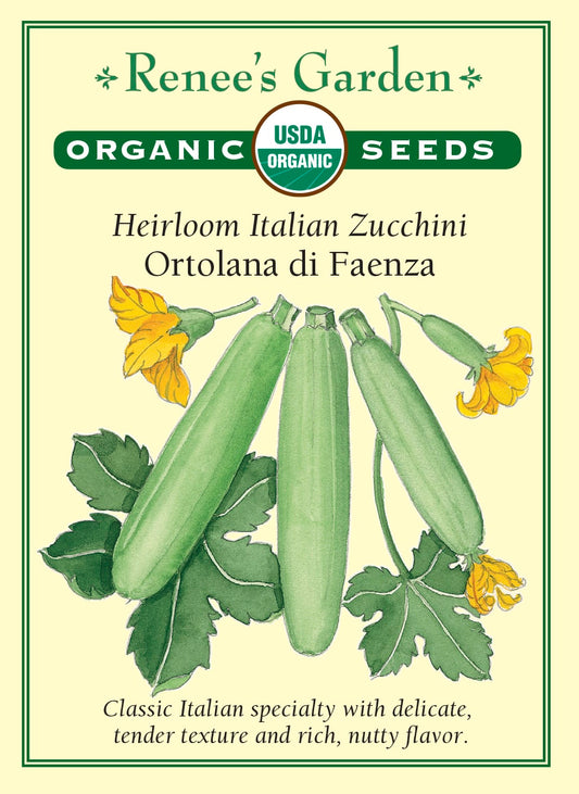 Heirloom Italian Zucchini - Ortolana di Faenza Organic