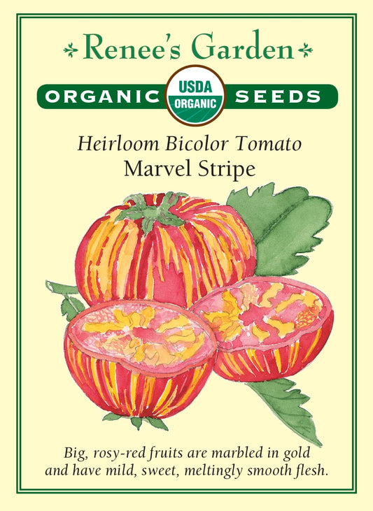 Heirloom Bicolor Tomato - Marvel Stripe Organic