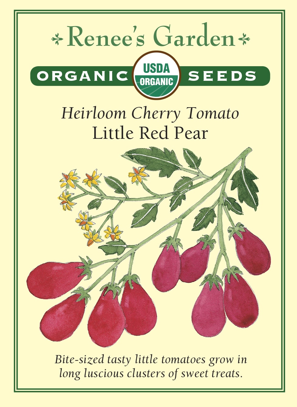 Heirloom Cherry Tomato - Little Red Pear Organic