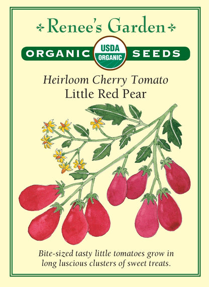 Heirloom Cherry Tomato - Little Red Pear Organic