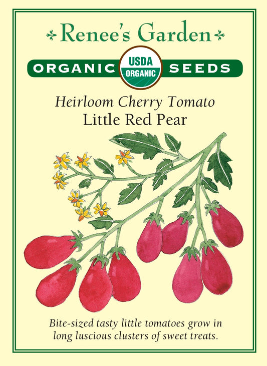 Heirloom Cherry Tomato - Little Red Pear Organic