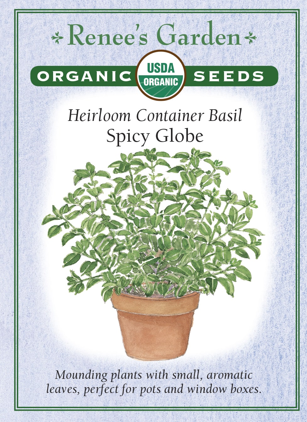 Heirloom Container Basil - Spicy Globe Organic