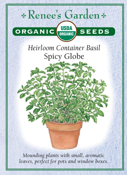 Heirloom Container Basil - Spicy Globe Organic