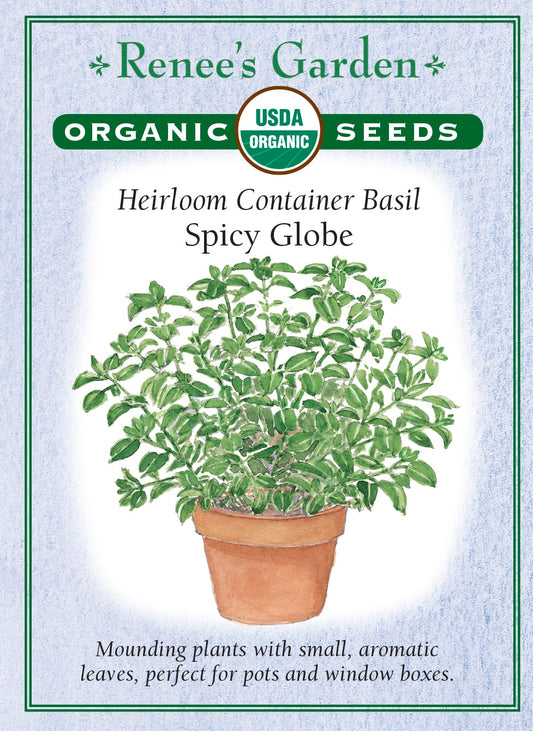 Heirloom Container Basil - Spicy Globe Organic