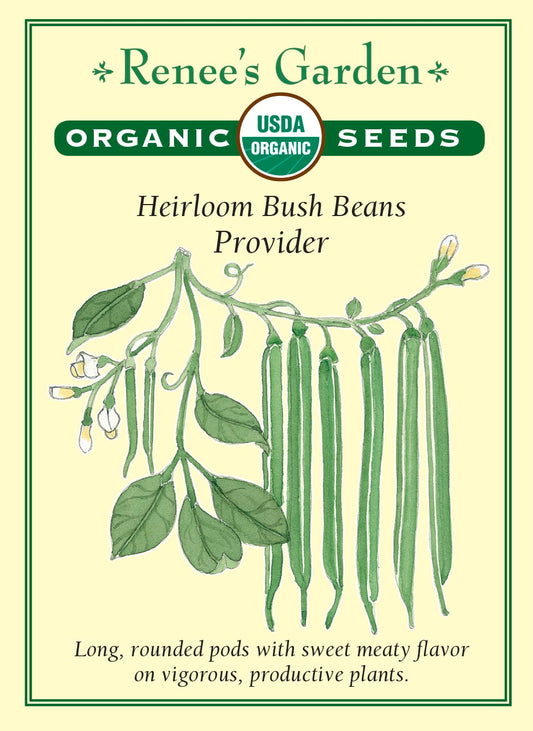 Heirloom Bush Beans - Provider Organic
