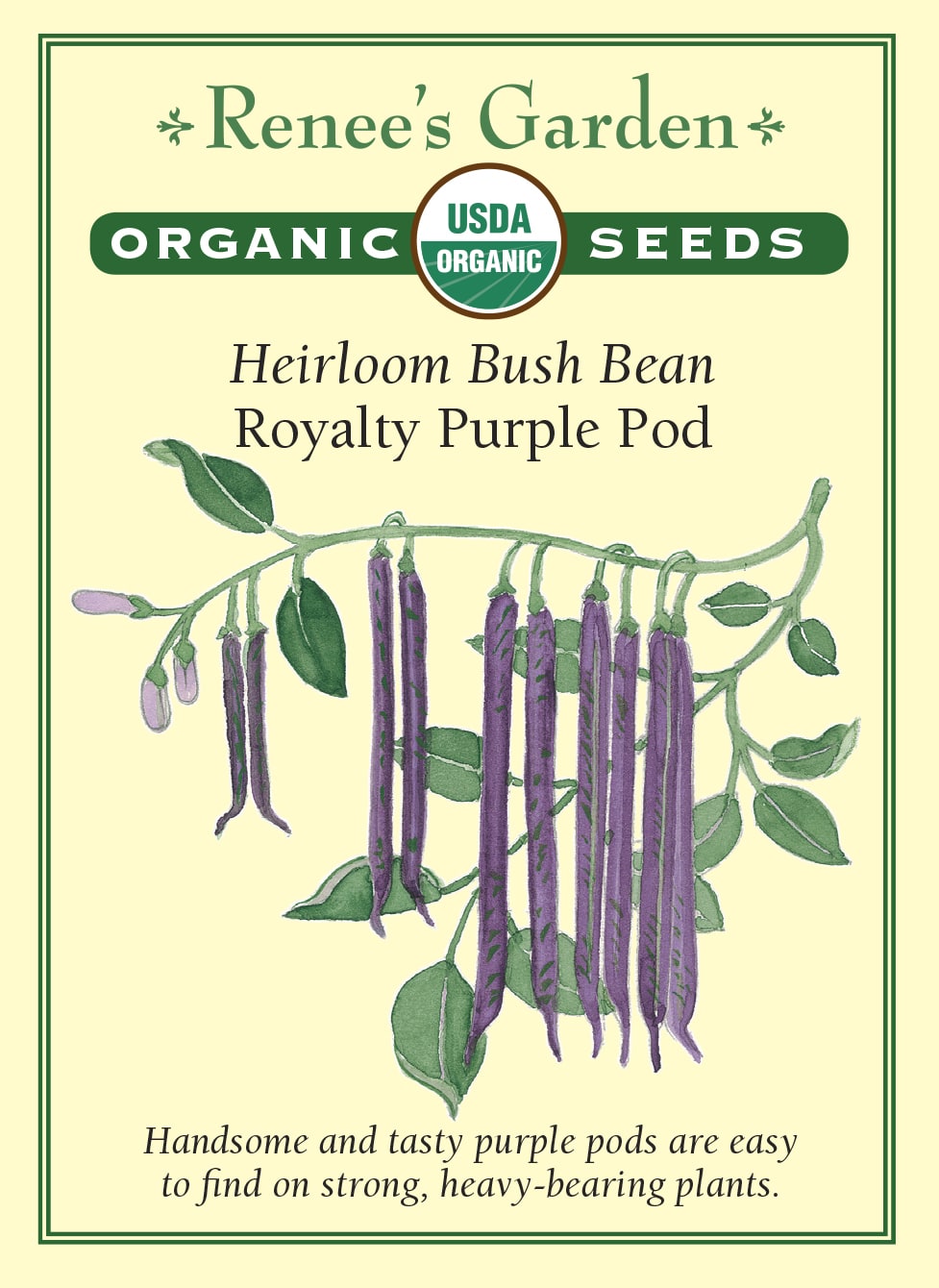 Heirloom Bush Bean - Royalty Purple Pod Organic