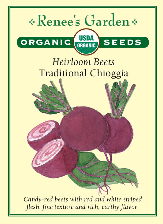 Heirloom Beets - Traditional Chioggia Organic