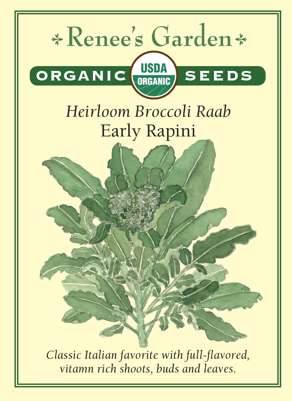 Heirloom Broccoli Raab - Early Rapini Organic