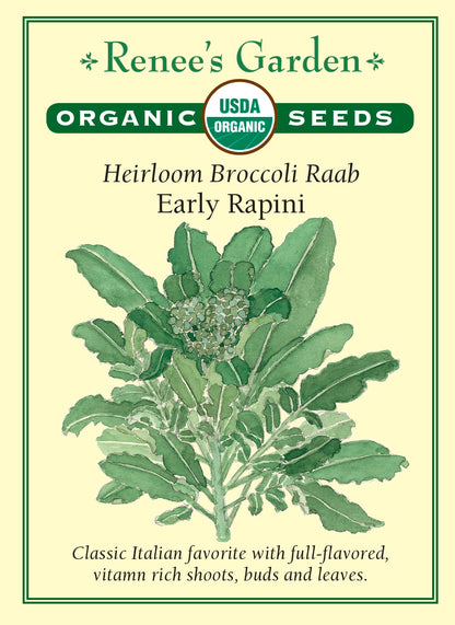Heirloom Broccoli Raab - Early Rapini Organic
