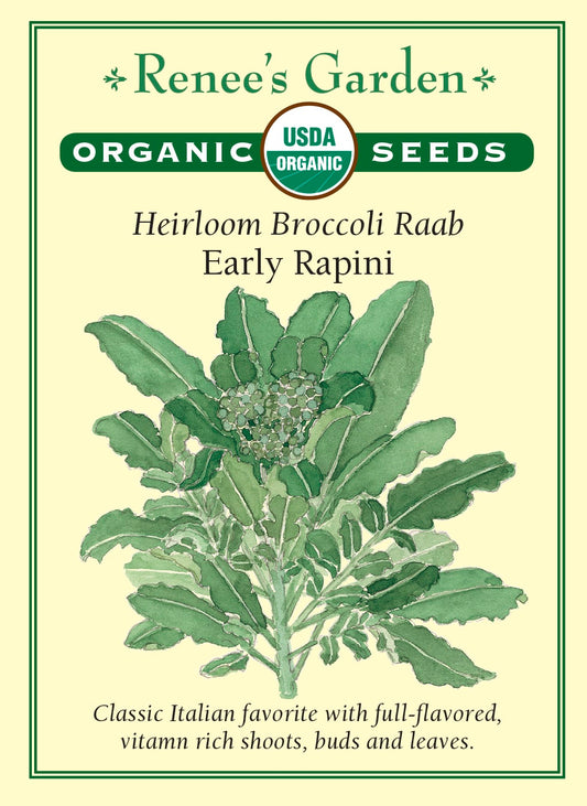 Heirloom Broccoli Raab - Early Rapini Organic