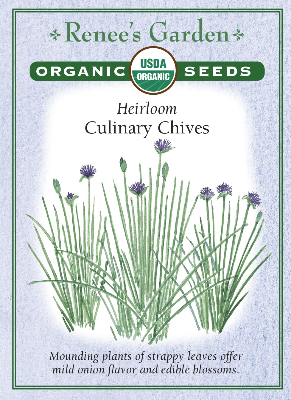 Heirloom - Culinary Chives Organic