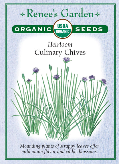 Heirloom - Culinary Chives Organic
