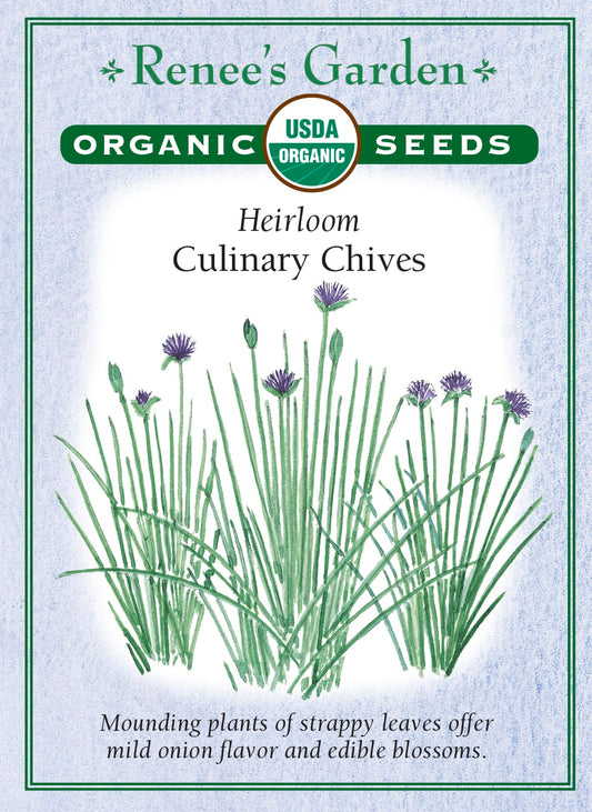 Heirloom - Culinary Chives Organic