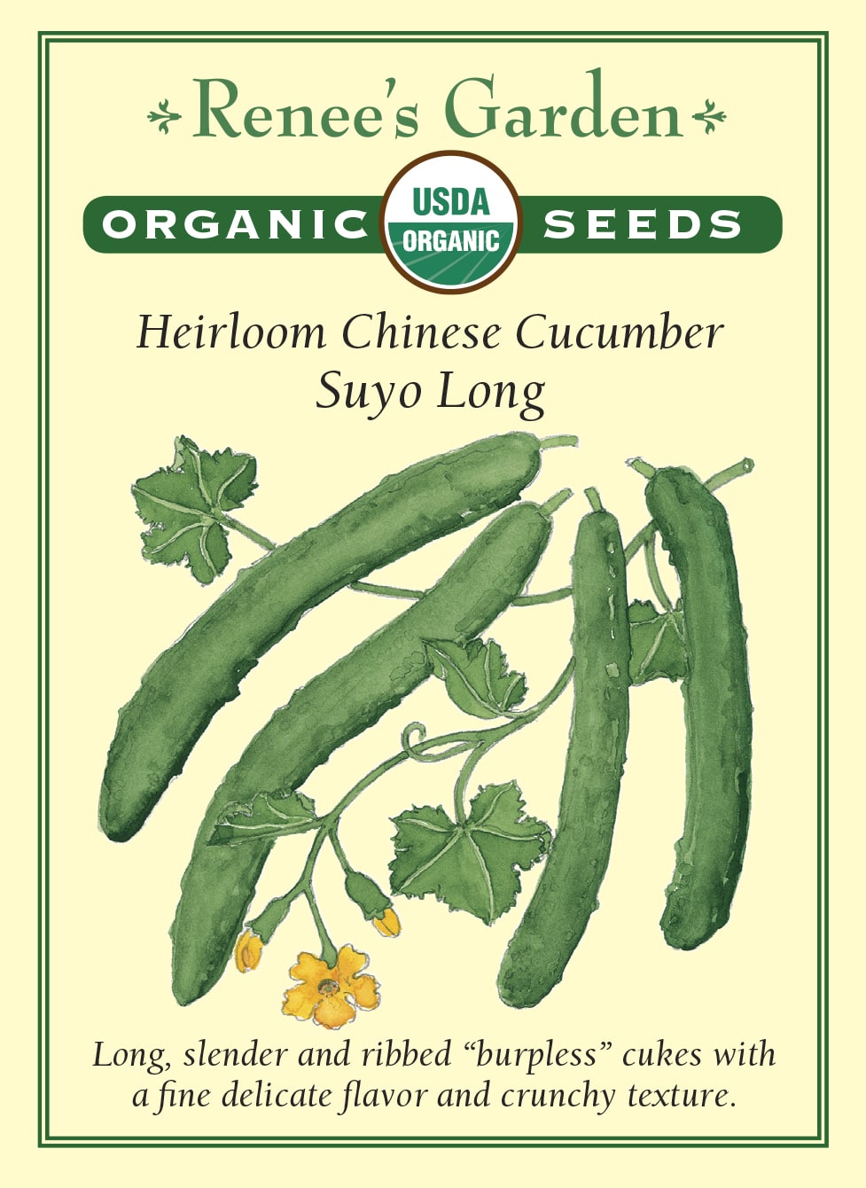 Heirloom Chinese Cucumber - Suyo Long Organic