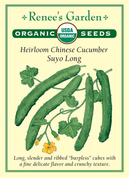 Heirloom Chinese Cucumber - Suyo Long Organic