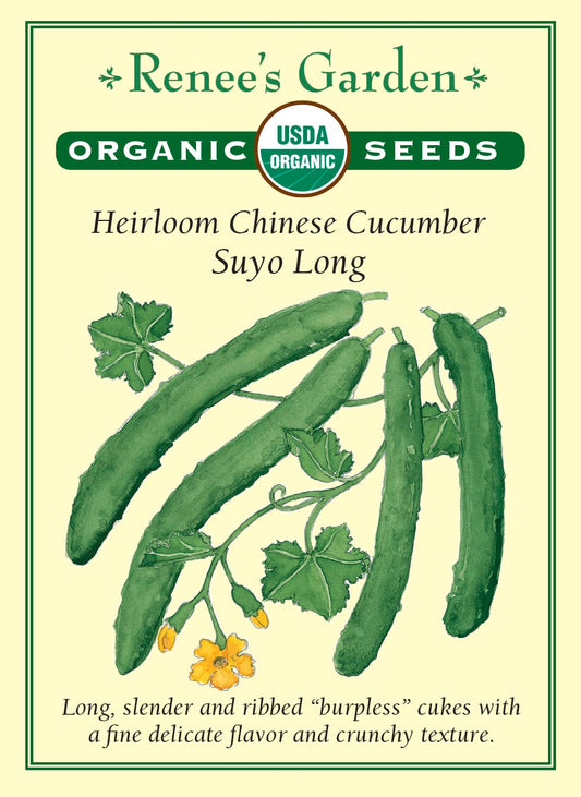 Heirloom Chinese Cucumber - Suyo Long Organic