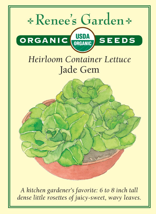 Heirloom Container Lettuce - Jade Gem Organic