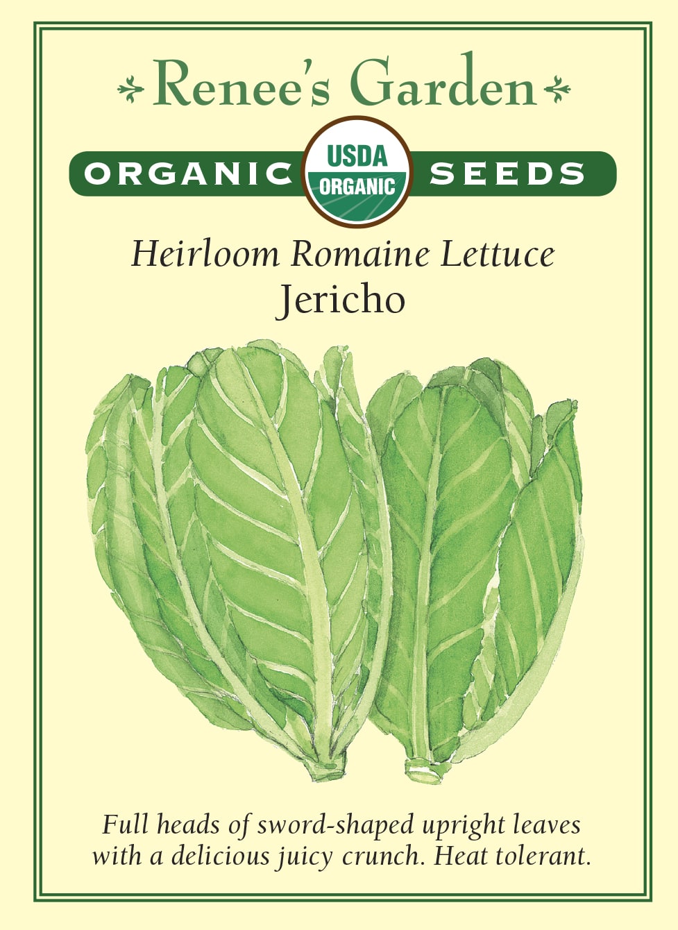 Heirloom Romaine Lettuce - Jericho Organic