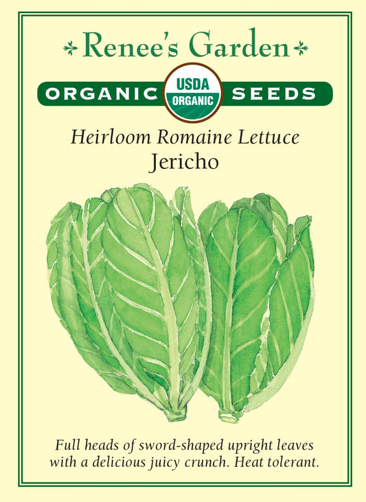 Heirloom Romaine Lettuce - Jericho Organic