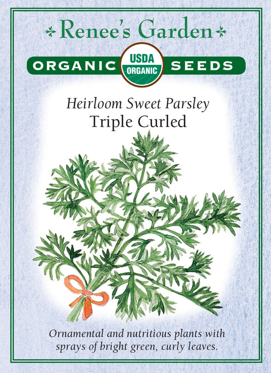 Heirloom Sweet Parsley - Triple Curled Organic