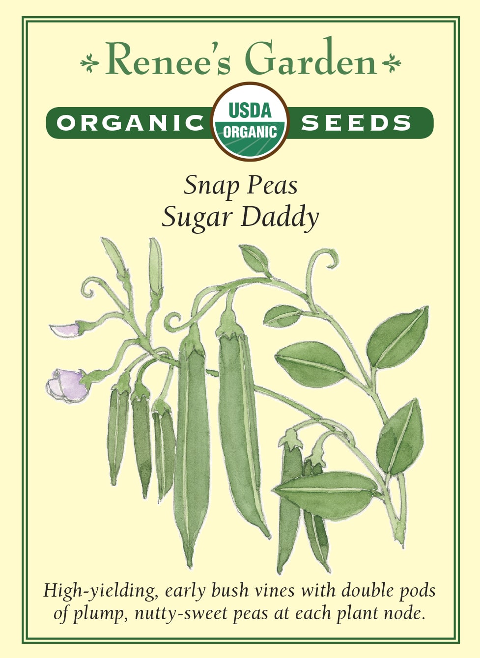 Snap Peas - Sugar Daddy Organic