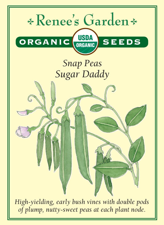 Snap Peas - Sugar Daddy Organic