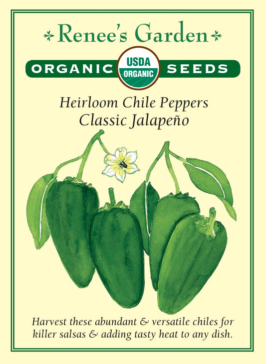 Heirloom Chile Peppers - Classic Jalapeño Organic