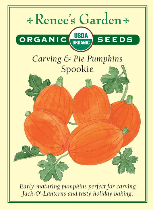 Carving & Pie Pumpkins - Spookie Organic