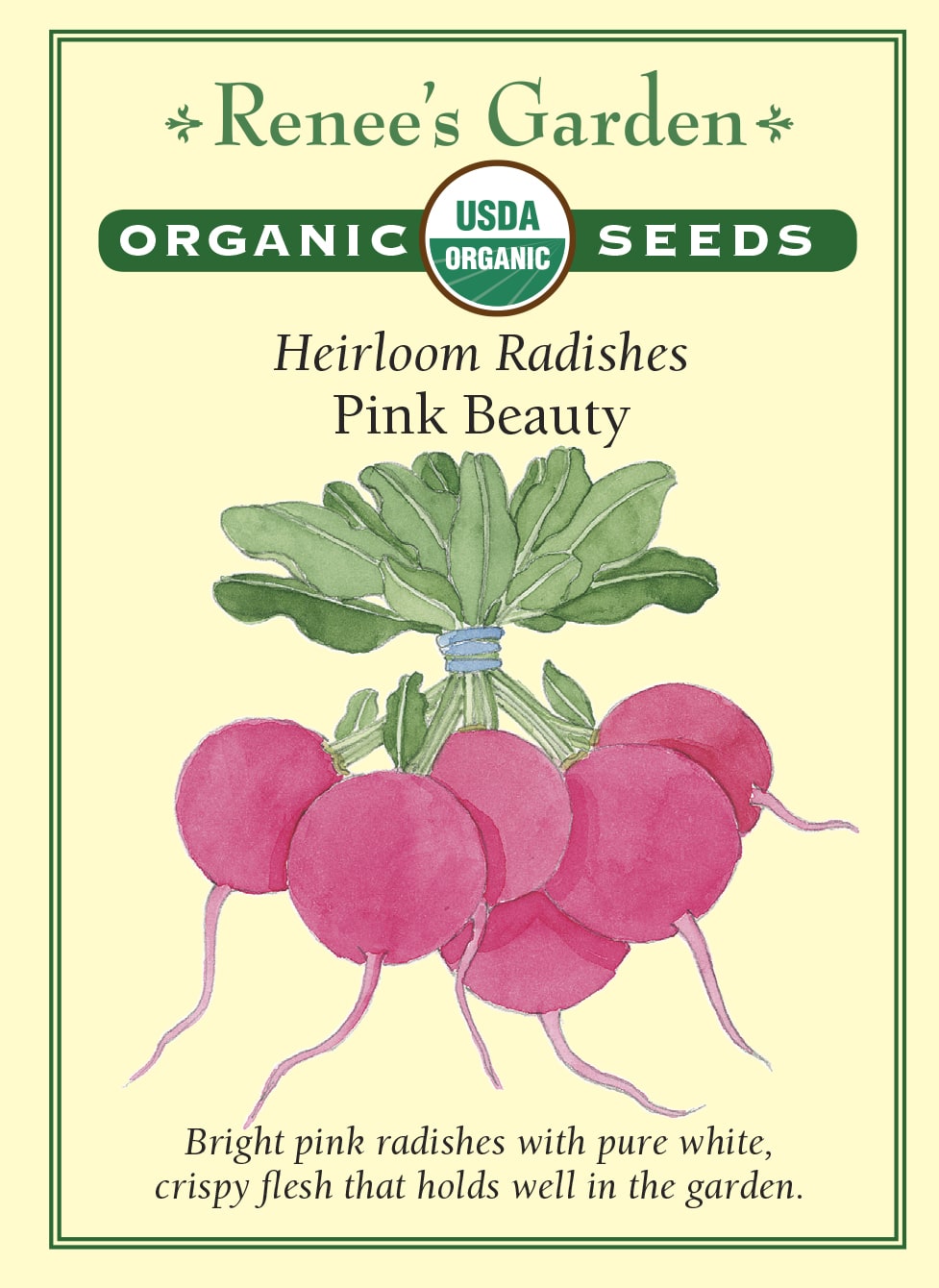 Heirloom Radishes - Pink Beauty Organic