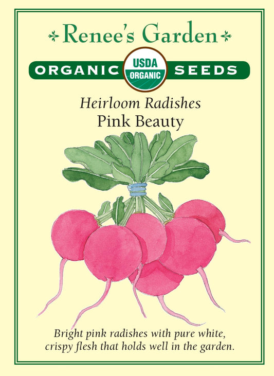 Heirloom Radishes - Pink Beauty Organic