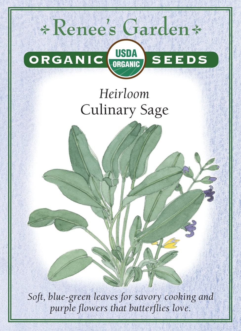 Heirloom - Culinary Sage Organic