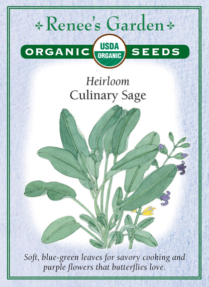 Heirloom - Culinary Sage Organic