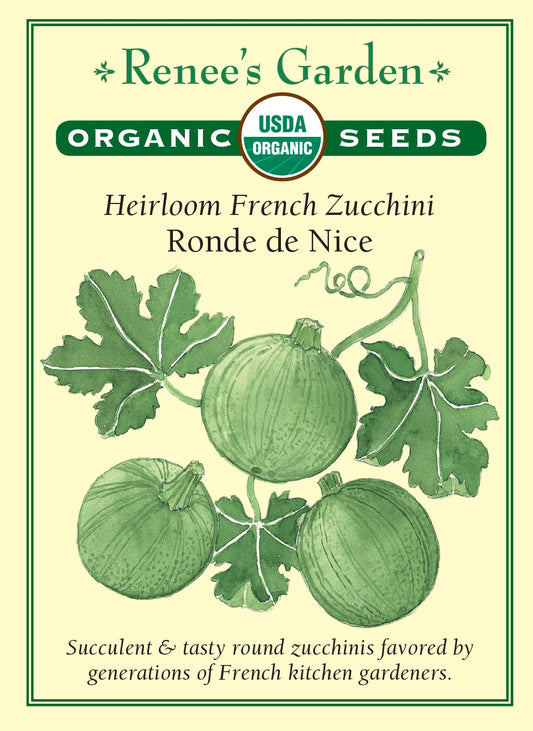 Heirloom French Zucchini - Ronde de Nice Organic