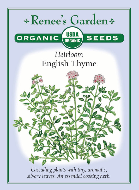 Heirloom - English Thyme Organic