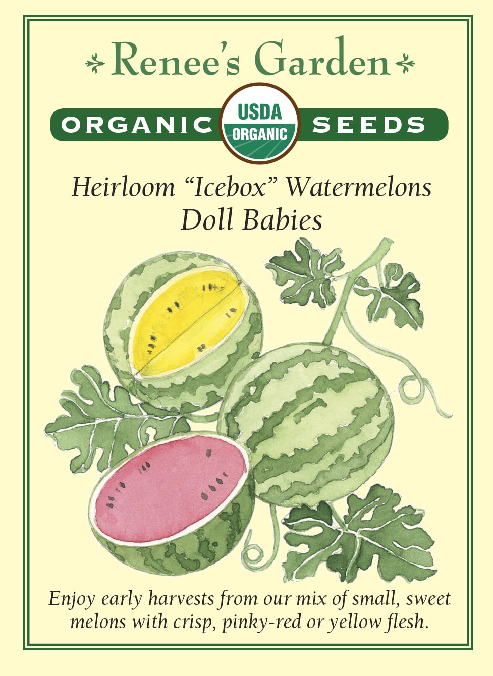 Heirloom “Icebox” Watermelons - Doll Babies Organic
