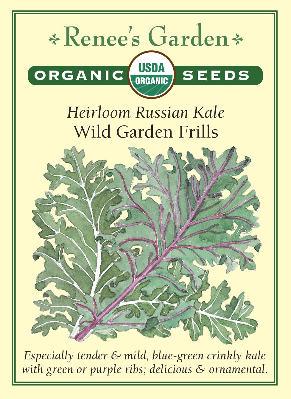 Heirloom Russian Kale - Wild Garden Frills Organic