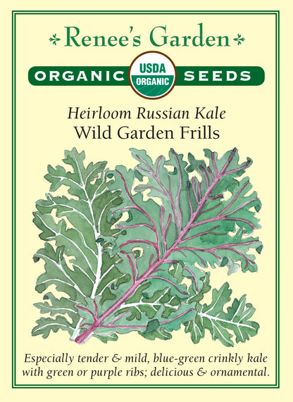 Heirloom Russian Kale - Wild Garden Frills Organic