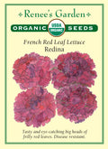 French Red Leaf Lettuce - Redina Organic