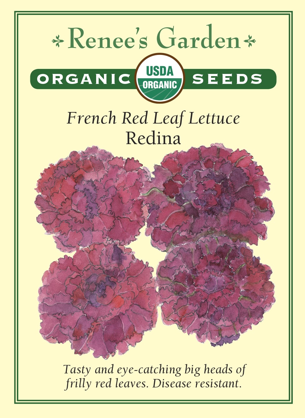 French Red Leaf Lettuce - Redina Organic