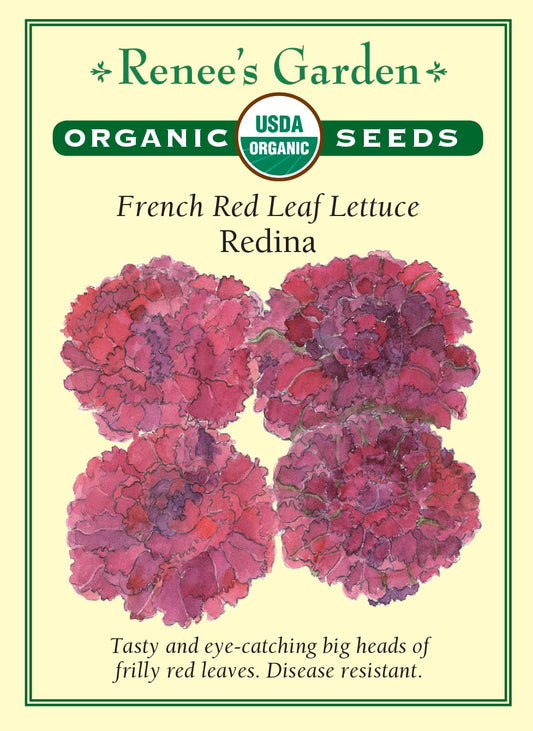 French Red Leaf Lettuce - Redina Organic