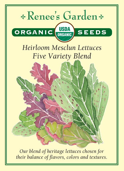 Heirloom Mesclun Lettuces - Five Variety Blend Organic