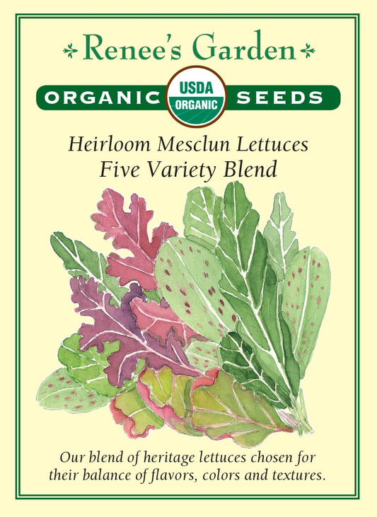 Heirloom Mesclun Lettuces - Five Variety Blend Organic