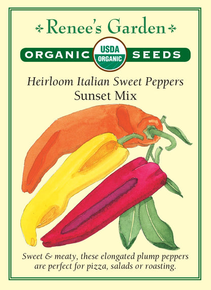 Heirloom Italian Sweet Peppers - Sunset Mix Organic
